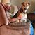 Melissa Lorenz's profile image