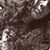 Darlagus Wolf's profile image