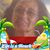 Donna Monteleone Sauers's profile image