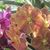 Judy Saunders's profile image
