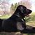 Terry L. Wian's profile image