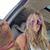 Shelle Buckler's profile image