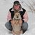 Laura Distel's profile image