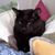 Susan Heyda's profile image