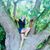 Abby Tryandstopme Lee's profile image