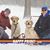 Lisa Franner-Boerner's profile image
