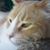 Will Fisher's profile image
