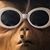 Garrett Schafer's profile image