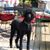 Beth Planck Vatterott's profile image