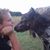 Diana Gilger's profile image