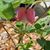 Dorrie Bergstrom's profile image