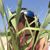 Cyndi Allen Rice's profile image