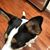 CarrieMichelle Grossgloss's profile image