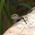 Sue Dyroff's profile image