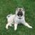 Jerry Shipman's profile image
