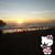 Lyn Zuni's profile image