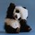 Paul Marinoni's profile image
