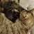 Ginger Tidwell Mitchell's profile image