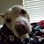 Kassie Ann Crist's profile image