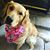Lilly Gaytan Marshall Ba's profile image
