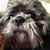 Johnnie Collier's profile image