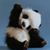 Laura McCracken's profile image