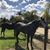 Marcial Alejandro's profile image