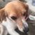 Mary Anne Kornbau's profile image