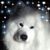 Eileen Laut's profile image