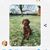 Sherl Hammann's profile image