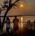 Danille Eric Pratt's profile image
