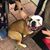Margaret Sandefur's profile image