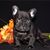 Stephenie Cecil's profile image