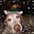 Nancy Crogan Hemlick's profile image