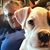 Sarah Winge's profile image