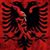 Dina Bedini's profile image