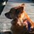 Dawn Stinsman Petty's profile image