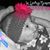 Angel Whaley's profile image