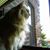 Sally Berta Pearson's profile image