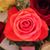 Judi Gardner's profile image