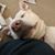 Lisa Marie Reynolds's profile image