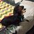 Terri Lynch's profile image
