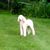 Kathleen Keeler's profile image