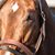 Jan Shaw's profile image