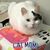 Lory Y. Kitamura's profile image