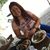 Mariele Del Villar's profile image