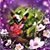 Joyce Searcy's profile image