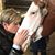 Leslie Bennett James's profile image
