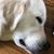 Laura Feltes's profile image