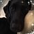 Nina Bina's profile image